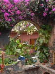 Photo-titre pour cet album: Portes ouvertes de Gor&eacute;e