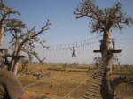 Photo-titre pour cet album: Accro-baobab