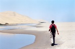La lagune est le refuge de milliers d'oiseaux.