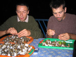 Plateaux de coques