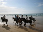 Photo-titre pour cet album: Week end cheval