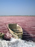 Photo-titre pour cet album: Le lac Retba ou lac Rose
