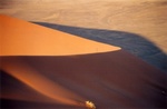 Au coeur du d�sert du Namib