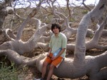 Colin dans les baobabs