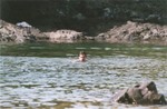 Crocodav