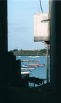 Ngor