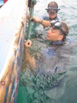 Accroch�s au bateau