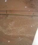 Un cours d'eau sous nos fen�tres!