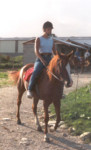A cheval