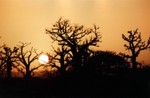 Photo-titre pour cet album: Couchers de soleil