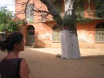 Place au baobab