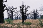 Photo-titre pour cet album: Paysages de la r&eacute;serve